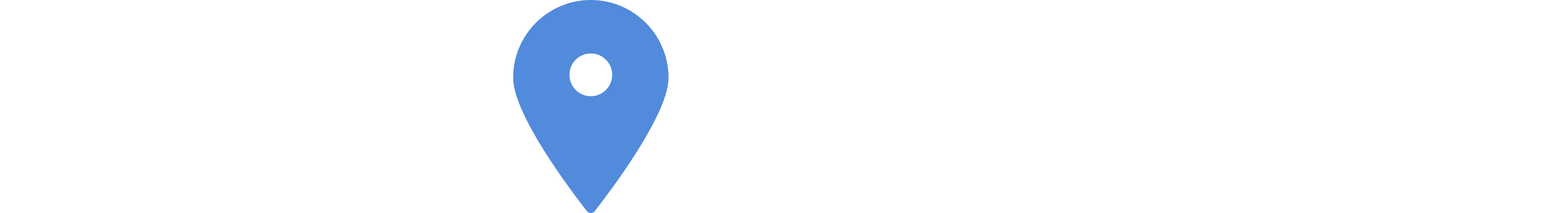 AI Localism logo